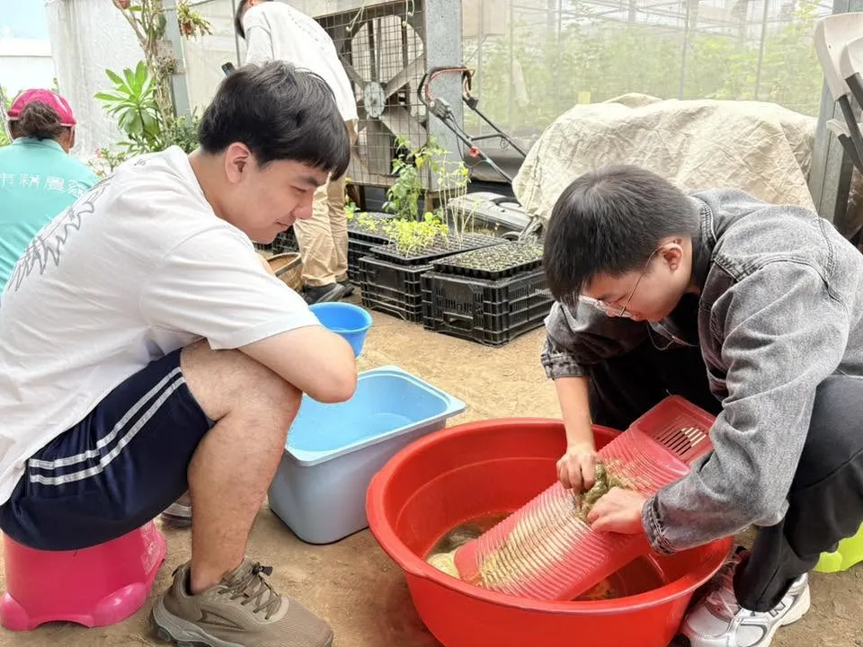 115.5.9城市耕農雞農場校外教學 第7張